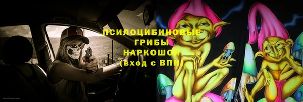 прущие грибы Богданович